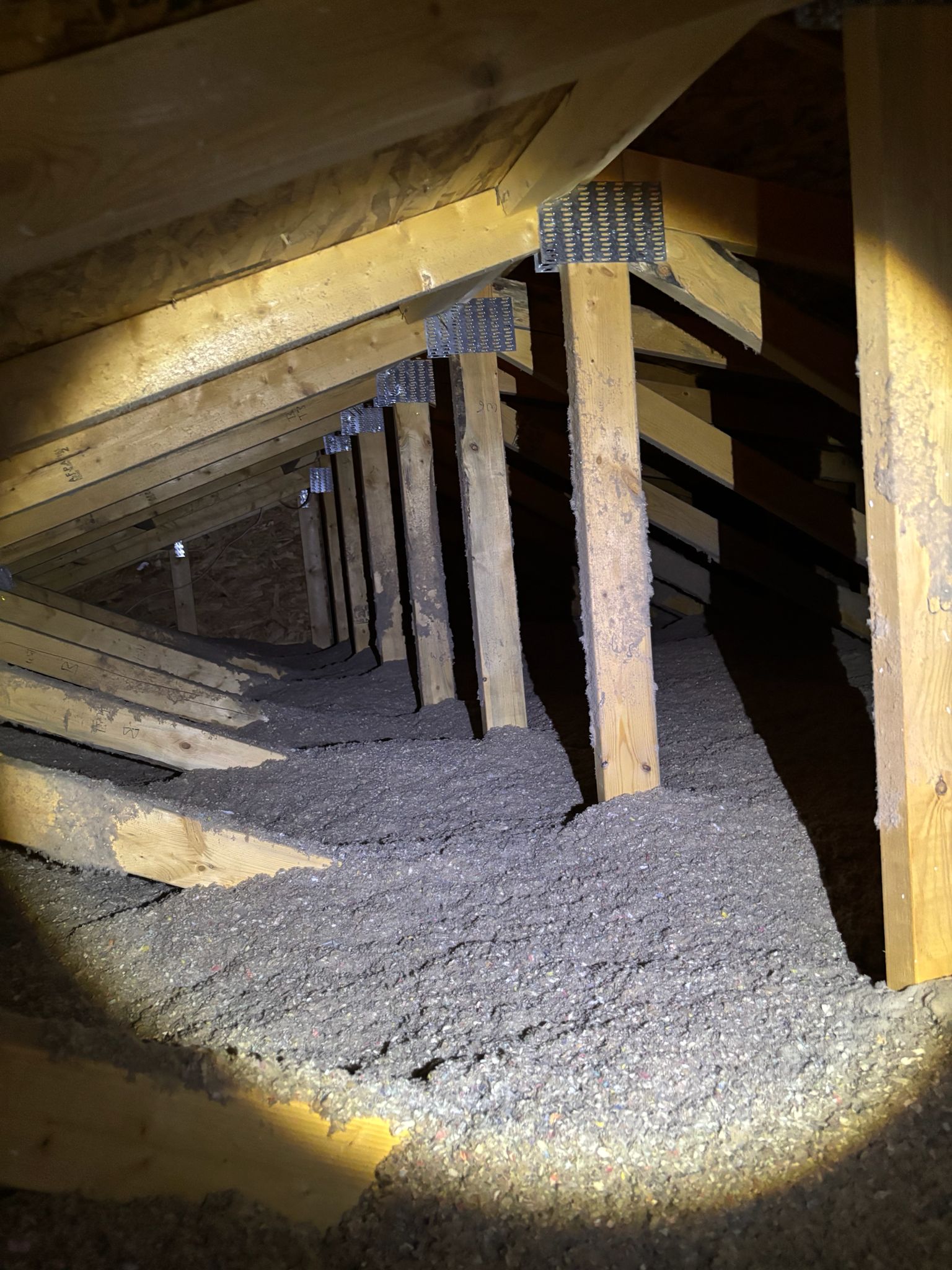 Inspector measuring attic insulation depth with a tape measure